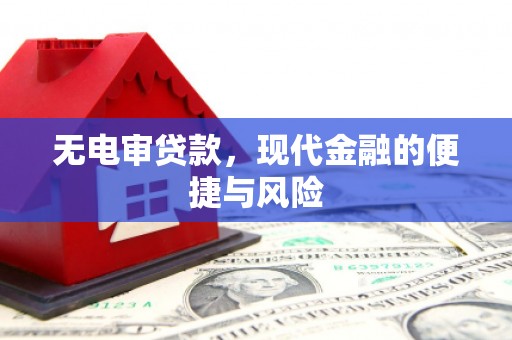 泽普无电审贷款，现代金融的便捷与风险