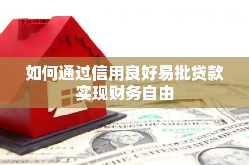 泽普如何通过信用良好易批贷款实现财务自由