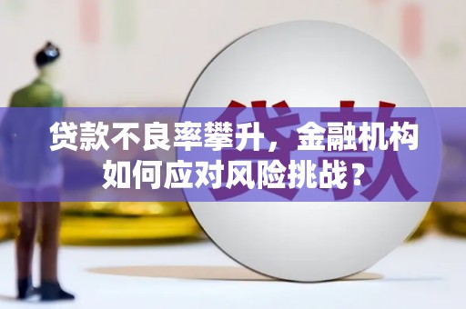 泽普贷款不良率攀升，金融机构如何应对风险挑战？