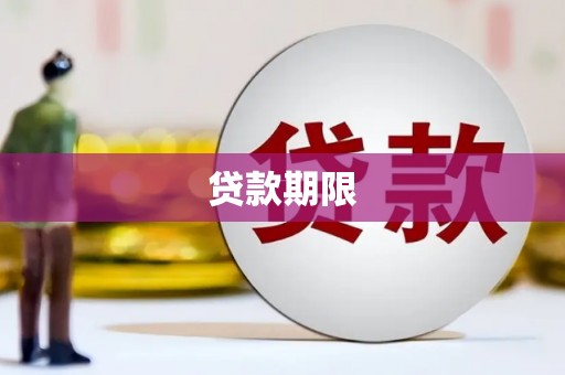 泽普贷款期限