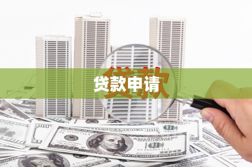 泽普贷款申请