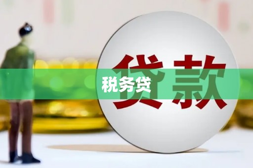 泽普税务贷
