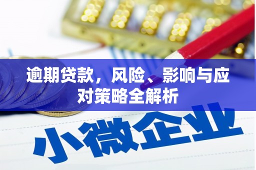 泽普逾期贷款，风险、影响与应对策略全解析