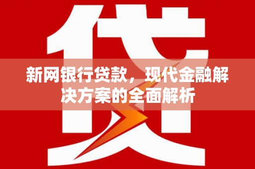 泽普新网银行贷款，现代金融解决方案的全面解析