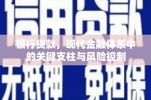 泽普银行贷款，现代金融体系中的关键支柱与风险控制