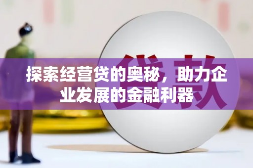 泽普探索经营贷的奥秘，助力企业发展的金融利器