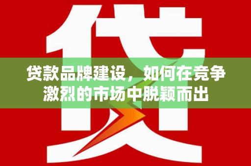 泽普贷款品牌建设，如何在竞争激烈的市场中脱颖而出