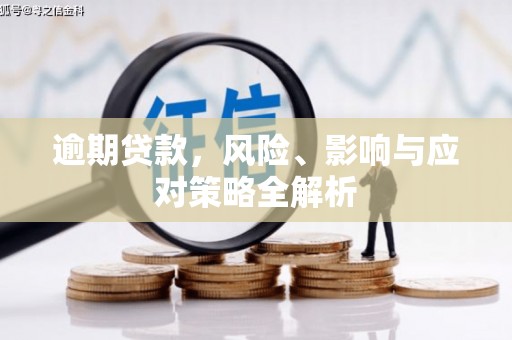 泽普逾期贷款，风险、影响与应对策略全解析