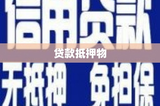泽普贷款抵押物