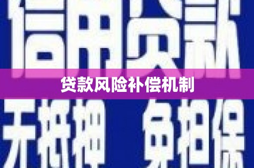 泽普贷款风险补偿机制