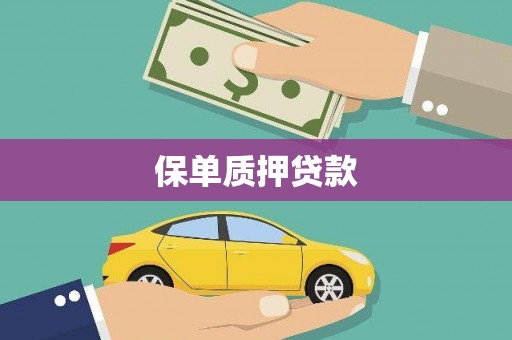 泽普保单质押贷款