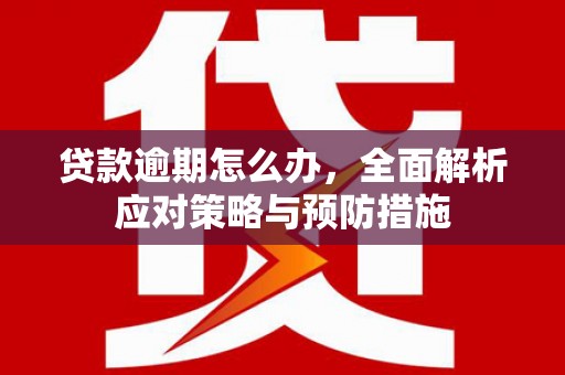 泽普贷款逾期怎么办，全面解析应对策略与预防措施