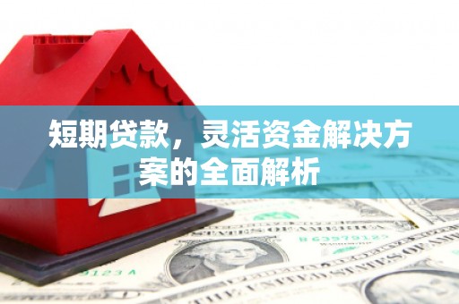 泽普短期贷款，灵活资金解决方案的全面解析