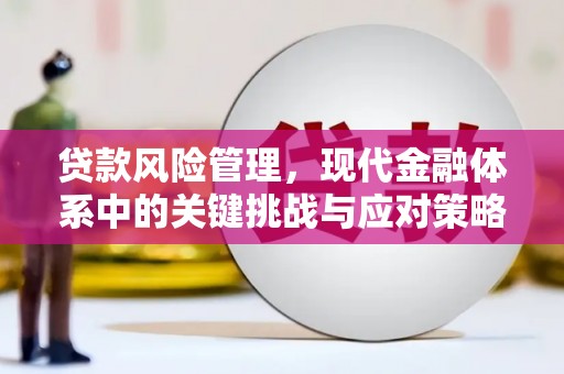 泽普贷款风险管理，现代金融体系中的关键挑战与应对策略