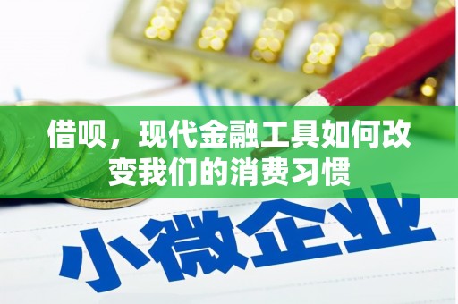 泽普借呗，现代金融工具如何改变我们的消费习惯