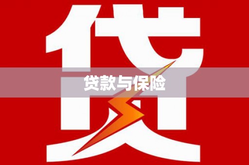 泽普贷款与保险
