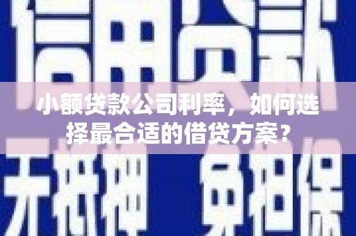 泽普小额贷款公司利率，如何选择最合适的借贷方案？