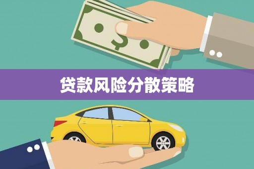 泽普贷款风险分散策略