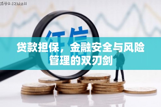泽普贷款担保，金融安全与风险管理的双刃剑