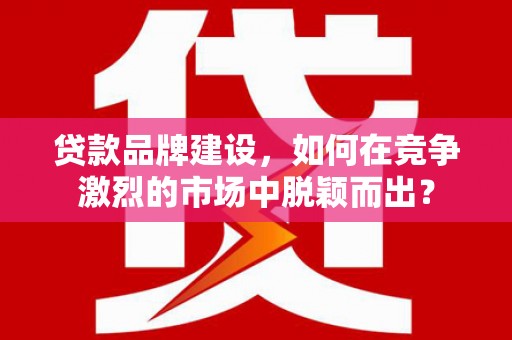 泽普贷款品牌建设，如何在竞争激烈的市场中脱颖而出？