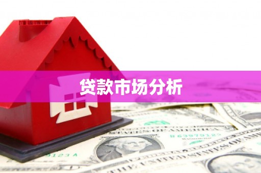 泽普贷款市场分析