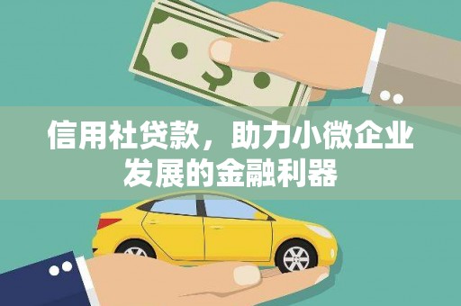 泽普信用社贷款，助力小微企业发展的金融利器