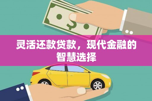 泽普灵活还款贷款，现代金融的智慧选择
