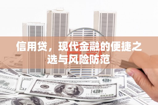 泽普信用贷，现代金融的便捷之选与风险防范