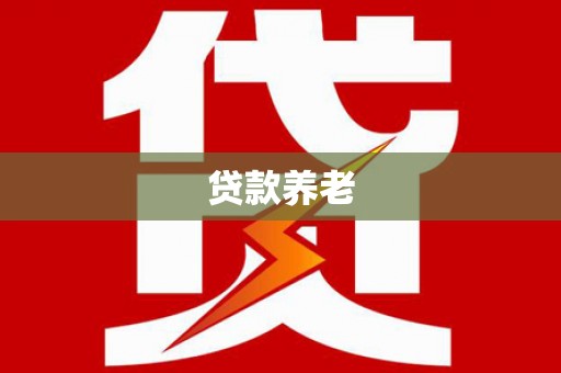 泽普贷款养老