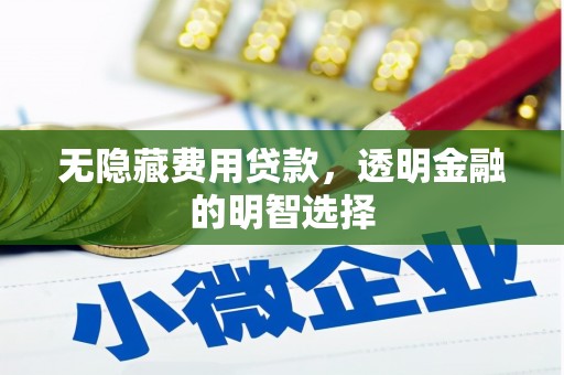 泽普无隐藏费用贷款，透明金融的明智选择
