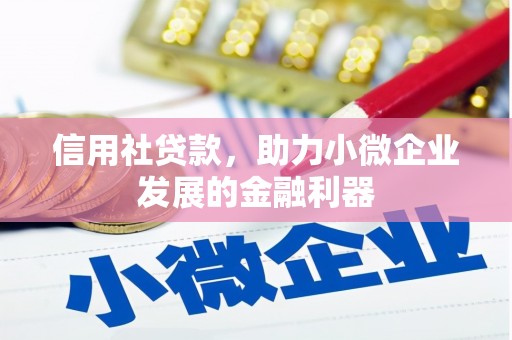 泽普信用社贷款，助力小微企业发展的金融利器