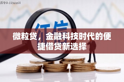 泽普微粒贷，金融科技时代的便捷借贷新选择