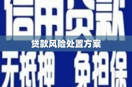 泽普贷款风险处置方案