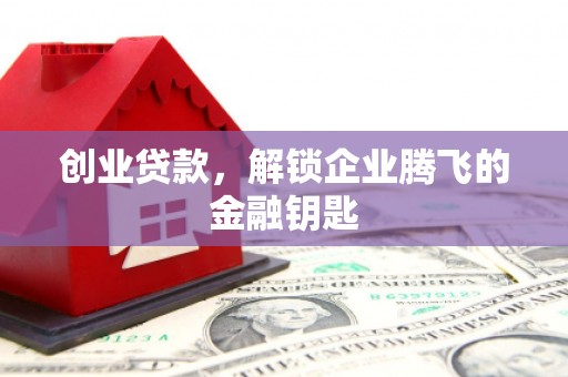泽普创业贷款，解锁企业腾飞的金融钥匙