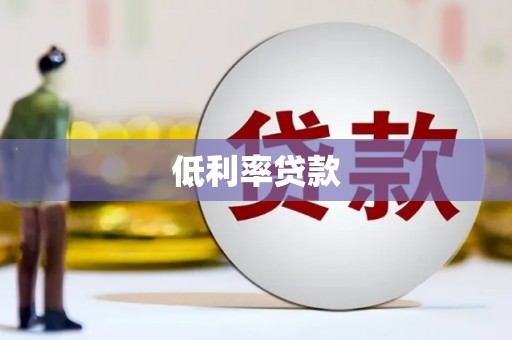 泽普低利率贷款