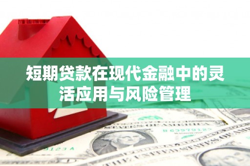 泽普短期贷款在现代金融中的灵活应用与风险管理