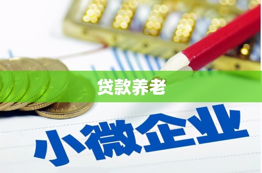 泽普贷款养老