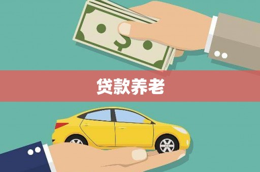 泽普贷款养老