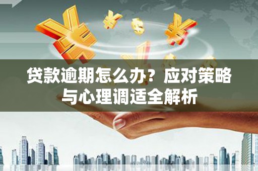 泽普贷款逾期怎么办？应对策略与心理调适全解析