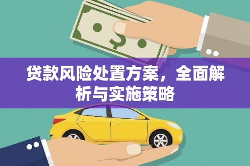 泽普贷款风险处置方案，全面解析与实施策略